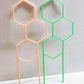 Plant Trellis